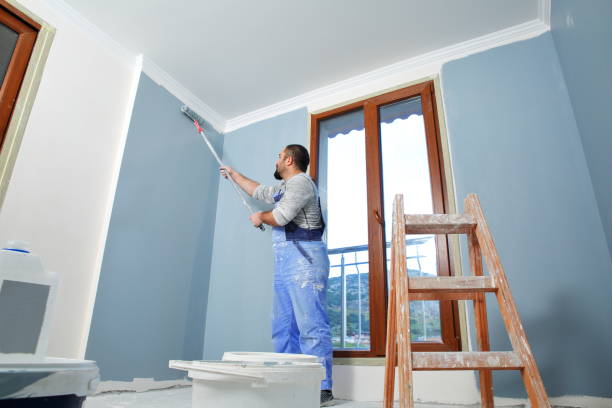 Best Post-Construction Mold Inspection  in Waynesburg, OH