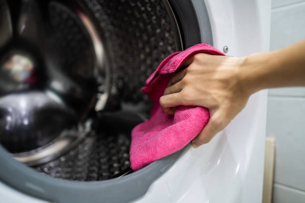 Best Mold Damage Restoration  in Waynesburg, OH