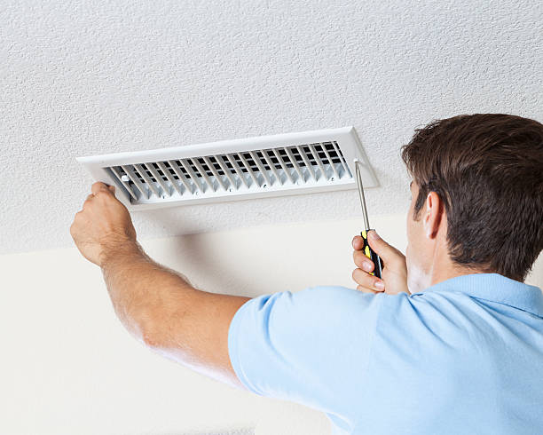 Best Emergency Mold Remediation  in Waynesburg, OH