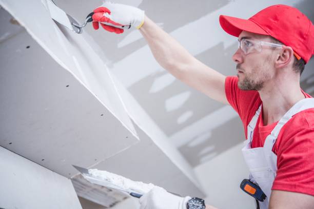 Best Biohazard Mold Removal  in Waynesburg, OH
